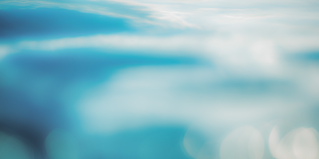 ACRI（アクリ）からのお知らせはこちら。定休日や営業情報、キャンペーン情報などを随時更新しています。