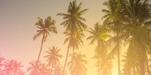 ACRIのおすすめメニューはこちら。話題の髪質改善メニューで美髪を叶えたい方は是非ご確認ください。